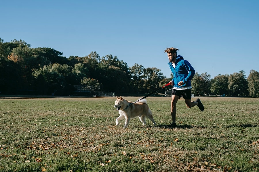 Correre Con Il Cane Al Guinzaglio Min