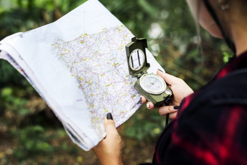 Mappa Di Controllo Nella Foresta Orienteering